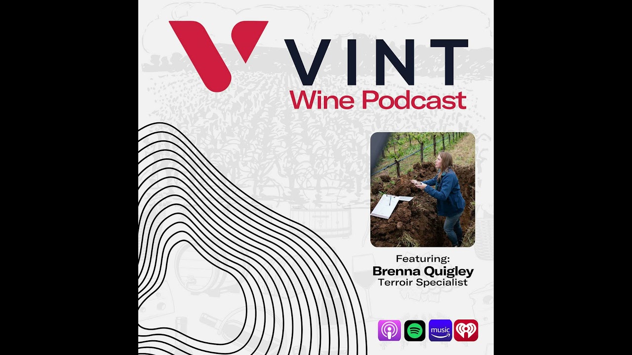How Geology Shapes Wine: A Conversation with Terroir Specialist Brenna Quigley