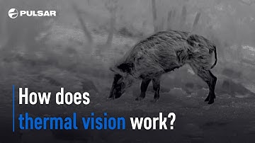 How does thermal vision work?