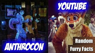 FURRY PORN an der Anthrocon | Der GRÖßTE FURRY-YOUTUBER | Random Furry Facts #8