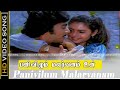 Snowfall Flower Forest  Panivilum Malarvanam song  Ninaivellam Nithya  Karthik Gigi  Vairamuthu HD