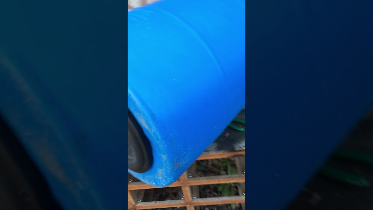 bass cannon subwoofer