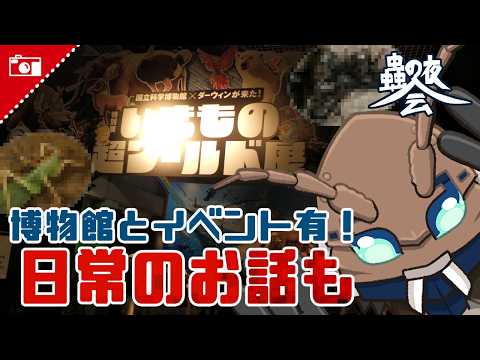 蟲の夜会】 ちょこっと通常回と… 【雑談/昆虫】 - YouTube