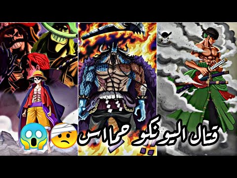 شيلات انمي قتال اليونكو حمااس الف لوفي زورو كايدو البيغ مام