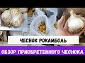 ЧЕСНОК РОКАМБОЛЬ КИПРСКИЙ ГИГАНТ СЛОНОВЫЙ ЧЕСНОК