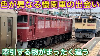 赤い国鉄型が珍編成を牽いてきた！ホームに脚立禁止と声が響き渡る真ん中の線路に停車した人気？の車両とは