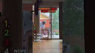 These Dogs Share One Brain Cell 💀🐶 #shorts