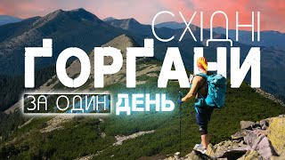 картинка: Східні Горгани за 1 день: Хом’як, Синяк і Малий Горган