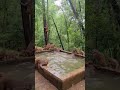 Rhesus Macaques Play in Concrete Water Tank — No Cuts, Ambient Nature #wildlife #monkeys #relax