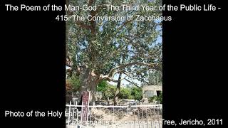 [AudioBook]The Poem of the ManGod/ ch.415 The Conversion of Zacchaeus