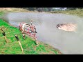 Fishing Video || Anyone will be amazed to see the fishing talent of the fisherman boy || Fish trap