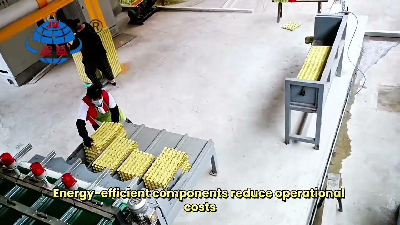 Eco-Friendly Rotary Egg Tray System for Sustainable Packaging