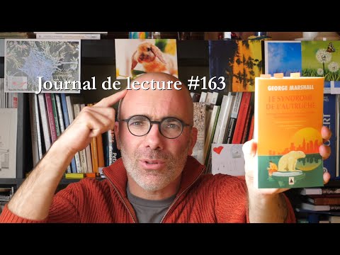 Vidéo: Qui est le syndrome de l'autruche ?