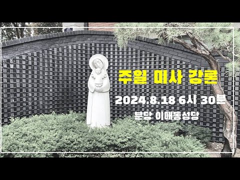 영상썸네일