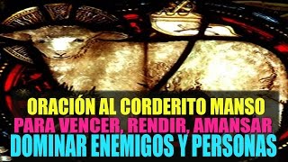 Oración al Corderito Manso para vencer, rendir, amansar y dominar, Enemigos y Personas.