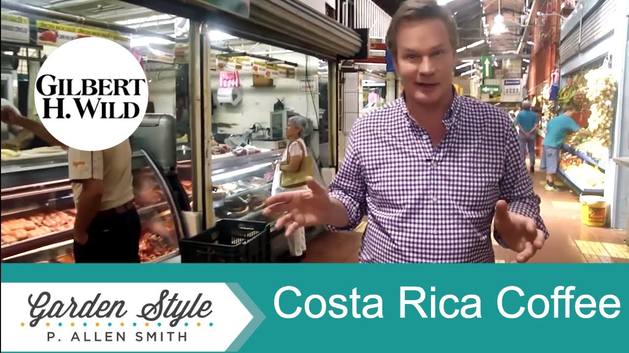 Traveling to Costa Rica Coffee Plantation | Garden Style (1618)