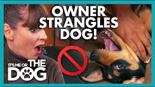 Owner Strangles Puppy and Turns him Aggressive😬 |  It