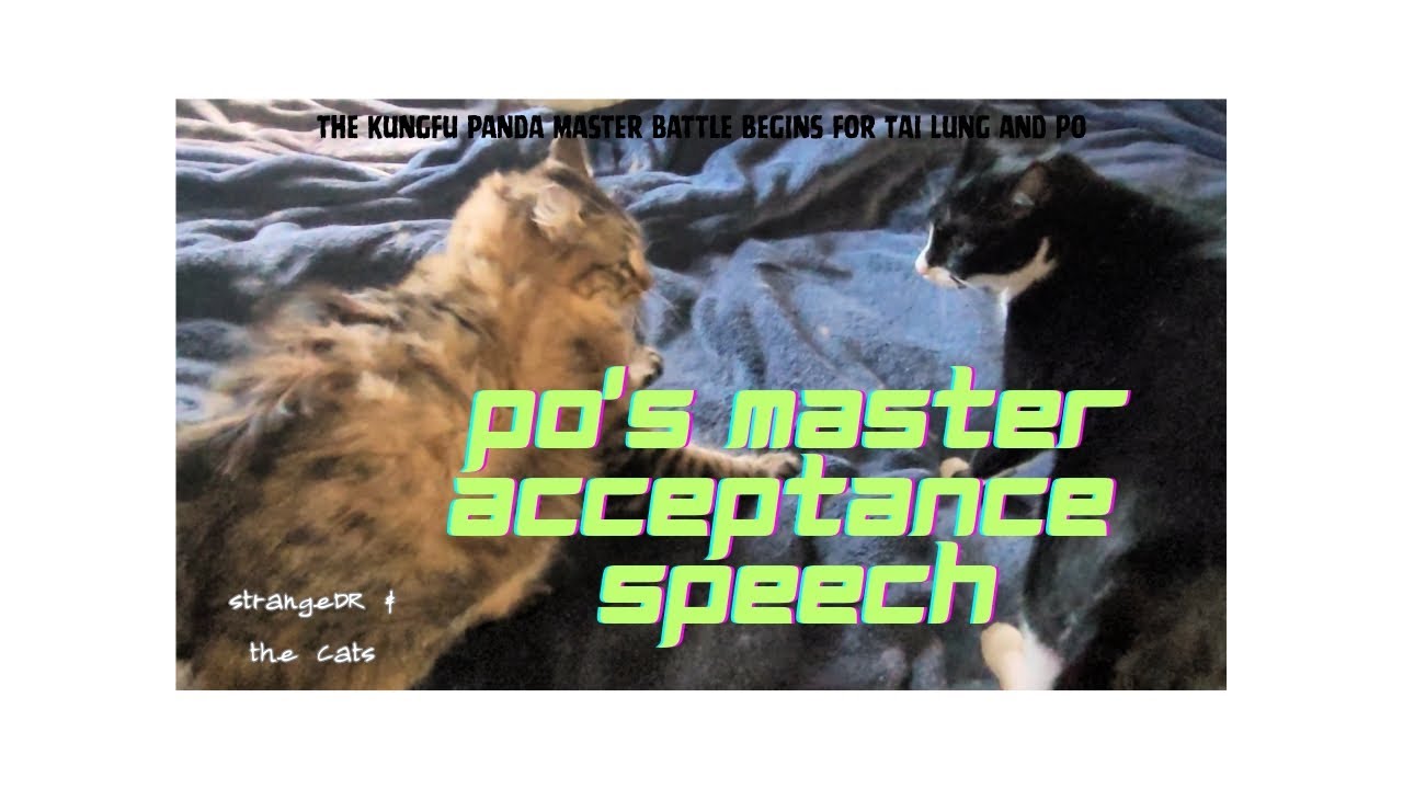 Sock (Po) Declares himself Master -Final Battle vs Mr MeowMeow (Tai Lung) 