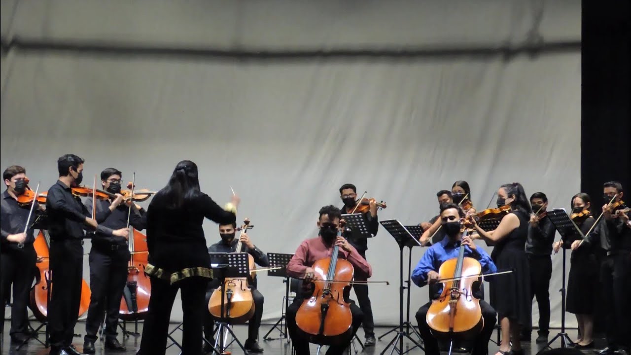 Antonio Vivaldi, Concerto for two cellos in G minor RV531