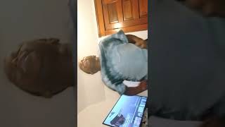 kid get bullied at school mom birthday