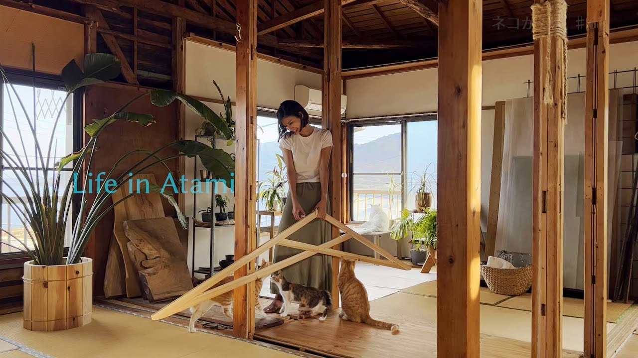 #62  1日家で過ごす、賑やかな癒し時間🌛｜日常と実験🔧｜Life in Atami