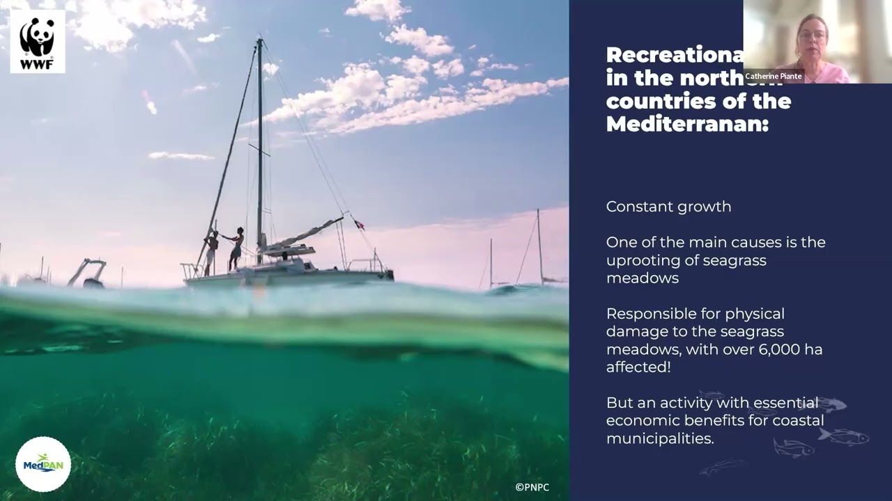 Webinaire de présentation de la formation à la création de zones de mouillage écologique