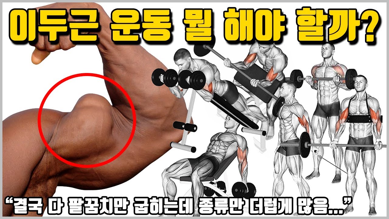 이두근 운동의 종류가 많은 이유와 최고의 운동 선택 방법