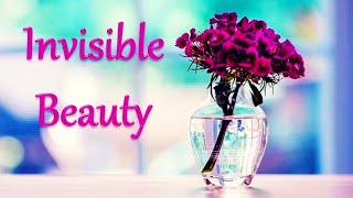 Invisible Beauty - One Hour of Relaxing Music - Music by Aakash Gandhi