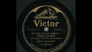 It's Tulip Time in Holland (1915) — Signor Grinderino