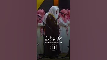 أَنْ يَا مُوسَى إِنِّي أَنَا اللَّهُ رَبُّ الْعَالَمِينَ "| سورة القصص