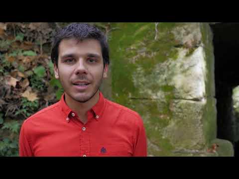 Nommer l’espèce - Botanica - Séquence 4 sujet 1