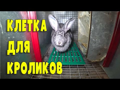 Многоярусная клетка для кроликов своими руками