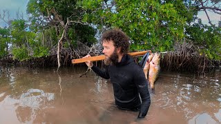 Forgot The Knife Twice | Waist Deep Spearfishing | Snapper Ceviche