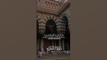#سورة_الشعراء | #quran #اكسبلور #دويتو #foryou | #viral / ##قرآن