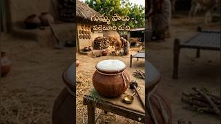 గుమ్మ పాలు ఎంత మందికి తెలుసు? #milk #freshmilk #naturalmilk #healthy #villagefood #viralvideo