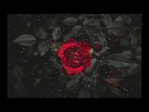 ByeAlex és a Slepp ft. Luca - Rózsák 🥀 (RaLa Remix) - YouTube