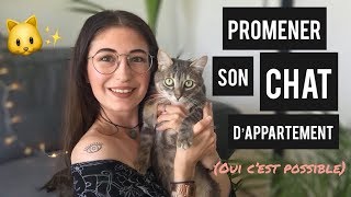 PROMENER SON CHAT EN LAISSE (Première étape : Comment l'habituer au harnais ?)