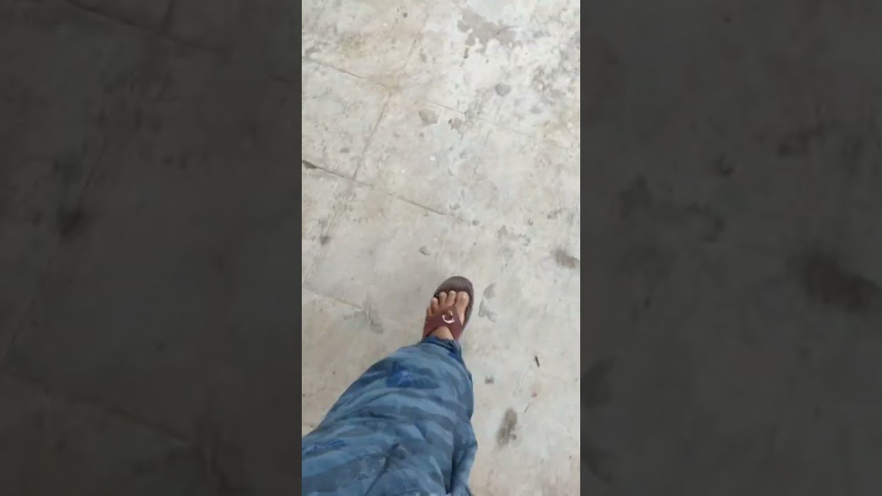 வெளியே ஓடி விளையாட ஆசை சைன் குட்டிக்கு pet Cat smart entertainment is live