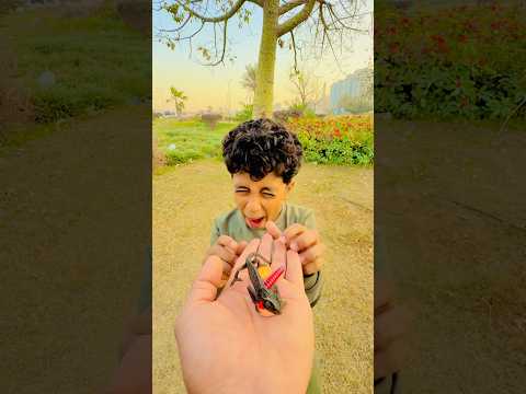 الحربايه الشقيه مسابتش حجا للبيبي 