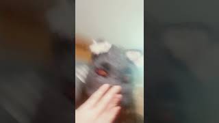 season 2 Episode 2 of random stuff