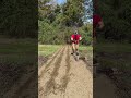 Planting Sunflowers Manually