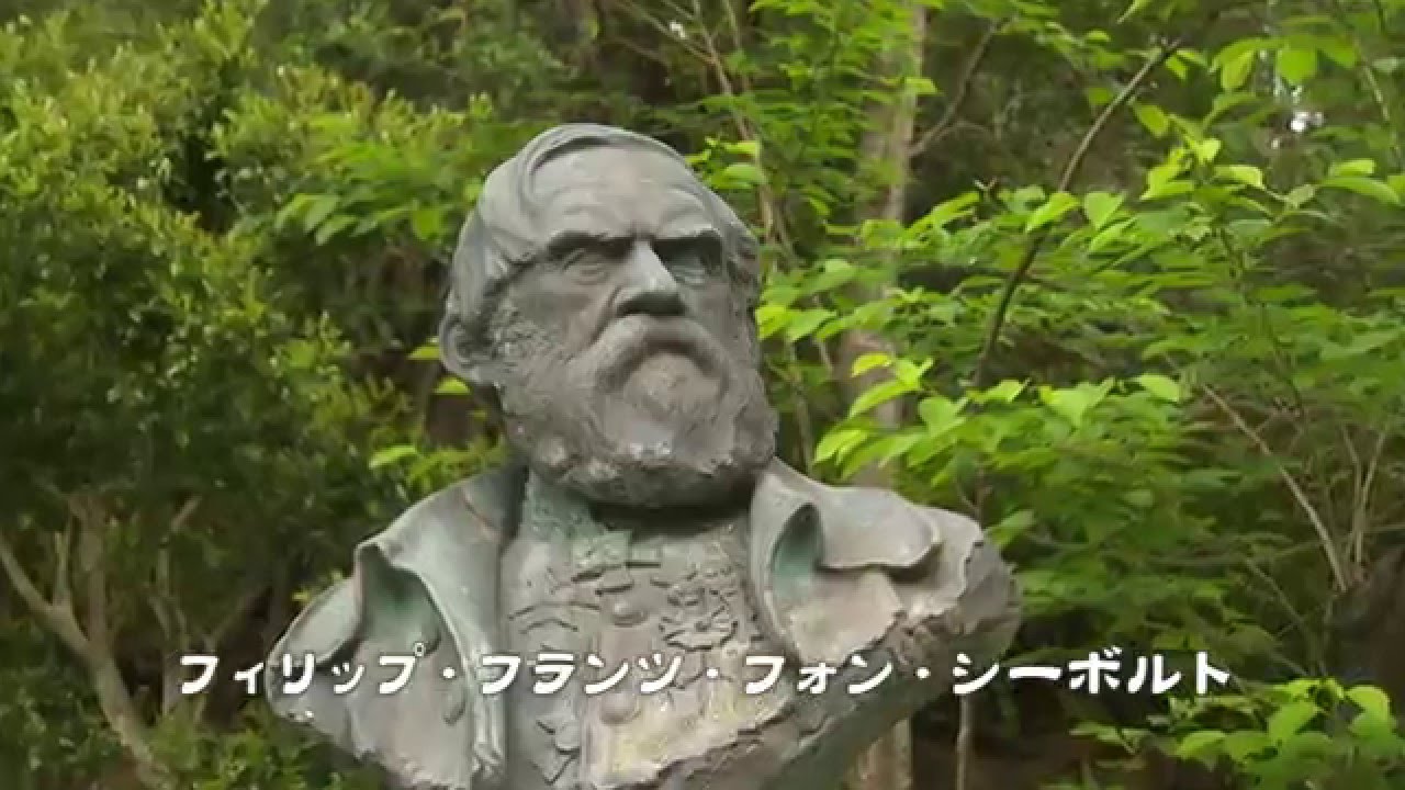 maxresdefault.jpg