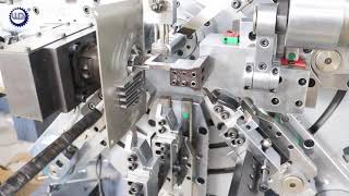 CNC Camless Mult-Axis 10 Axes Flat Strip Zigzag Spring Making Machine