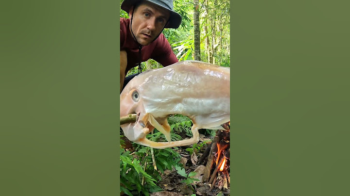 Kepiting Lumpur Bertahan Hidup Sendiri 24 Jam di Pulau. Keterampilan Bertahan Hidup Primitif