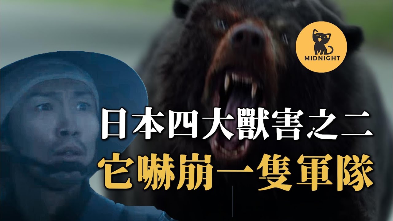 日本恐怖兇獸，一熊嚇崩300人的隊伍，獵人進山也詭異失蹤，日本駭人獸害