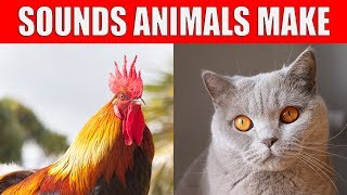 SOUNDS ANIMALS MAKE for Kids, Babies and Children - English Vocabulary