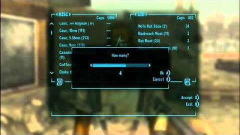 Return to Fallout New Vegas Walkthrough with Commentary Part 42   Mohawk Doctor