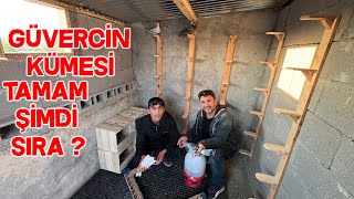 Alicanın Güvercin Kümesi Harika Oldu Pazardan Aldığım Güvercinleri Teslim Ettim