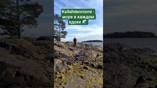 Очень красивое место и пляж в Вуосаари, Хельсинки #обзор #helsinkilove #финляндия #природа #пляж