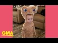 Adorable toddler in E.T. Halloween costume cracks up whole family | GMA