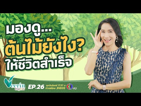 ผลสลากกินแบ่งรัฐบาล วันที่ 1 พย. 2567 ผลสลากกินแบ่งรัฐบาล วันที่ 1 พย. 2567